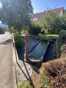 Brunnen_Alte-Steige-1