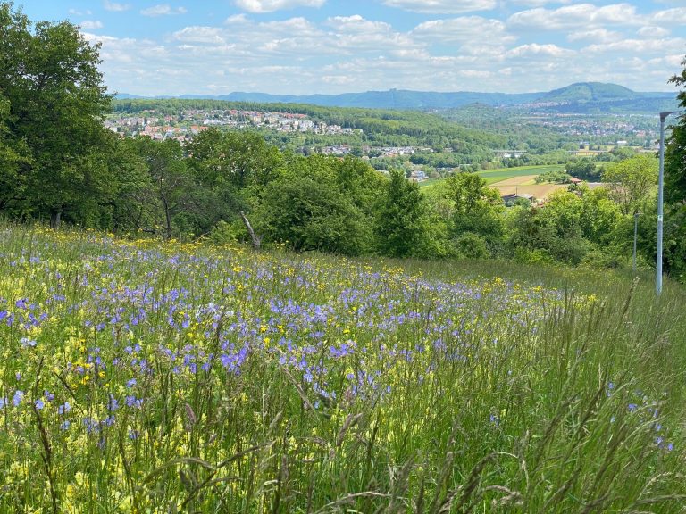 Ausblick_Sommer-Neuffen-Jusi
