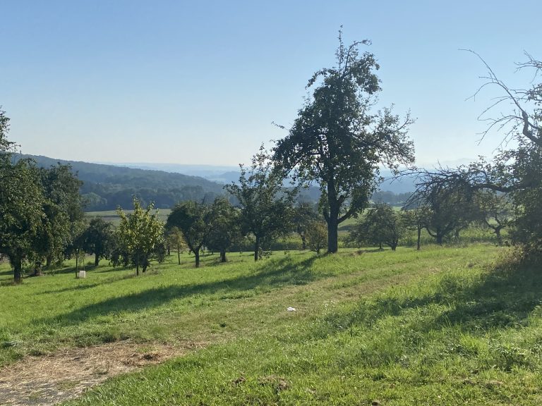 Sicht auf die Stauferberge