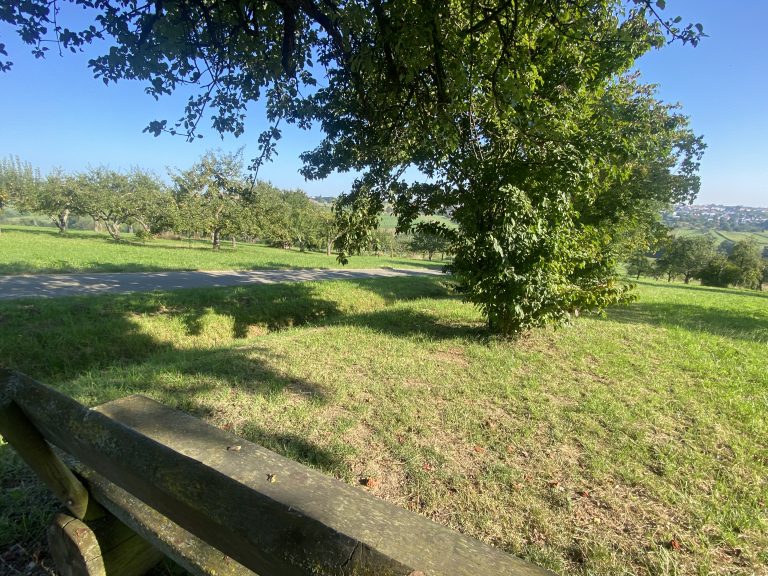 Aussicht_Oberer-Grundweg-rustikal_Schlaitdorf