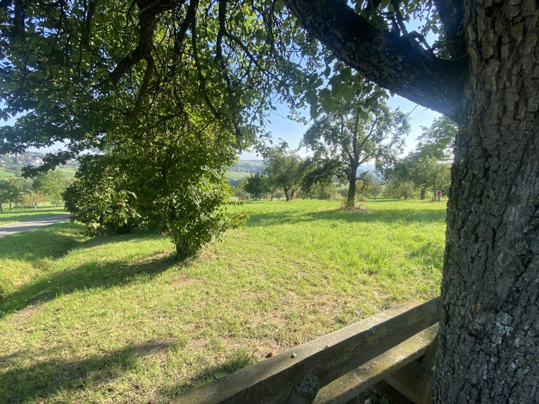 Aussicht_Oberer-Grundweg-rustikal_Stauffer-Berge